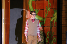 Little Shop of Horrors 228